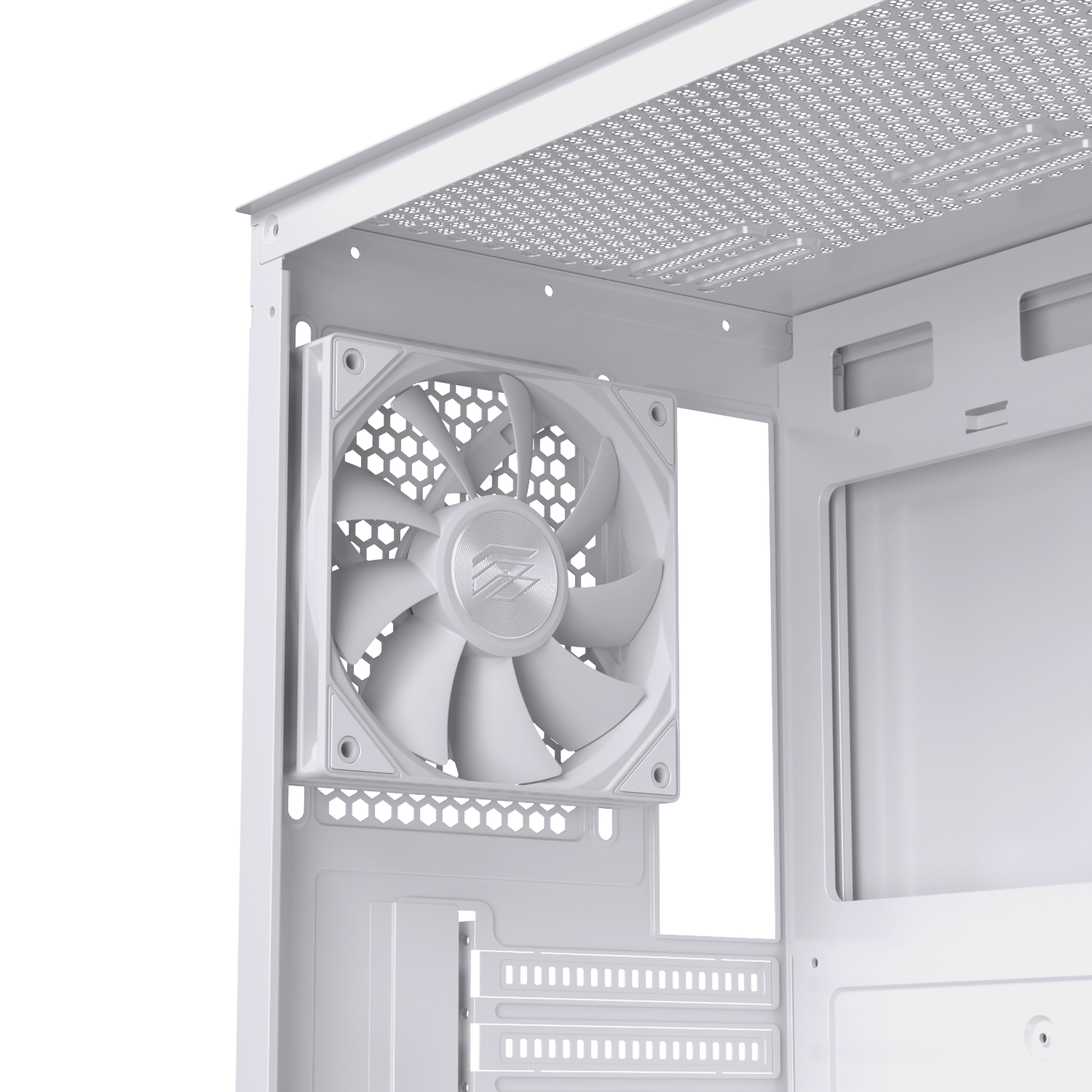 CASE EINAREX P100 CORE WHITE