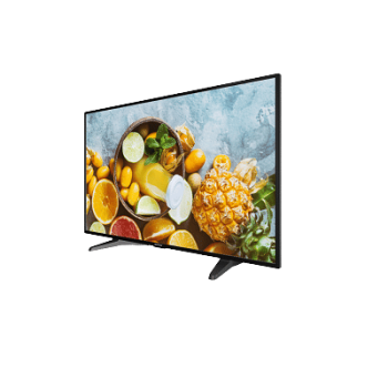 Màn Hình CCTV Hikvision DS-D5043QE